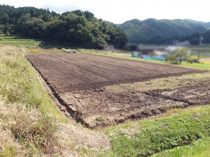 【写真】全面耕運