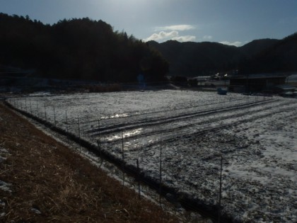 【写真】２月の圃場