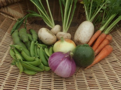 【写真】始めて販売した野菜