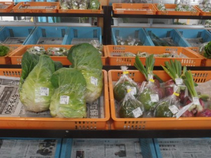 【写真】発出荷した野菜