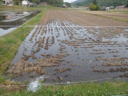 【写真】入水