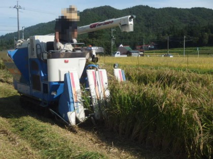 【写真】コンバイン作業