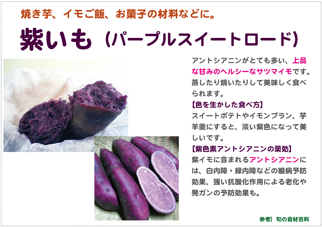 パープルスイートロード芋苗500本6月15日発送ほん | gournadicollege