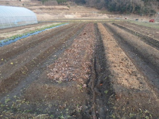 【写真】落ち葉堆肥