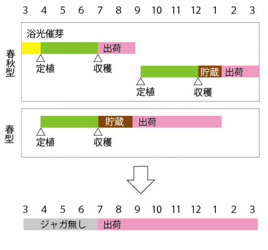 ジャガイモの作型表