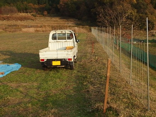 20141120_fence2