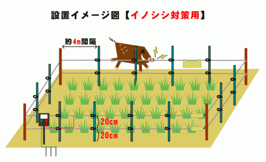 電気柵