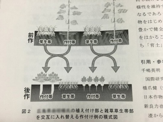 img_草生栽培