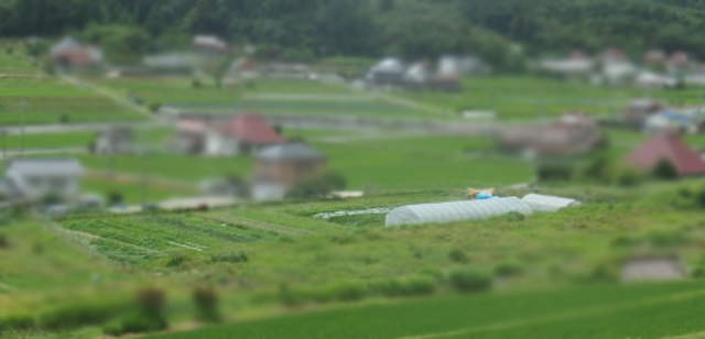【写真】農園遠景