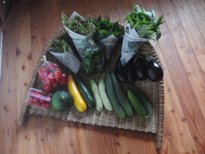 【写真】８月中旬の野菜セット